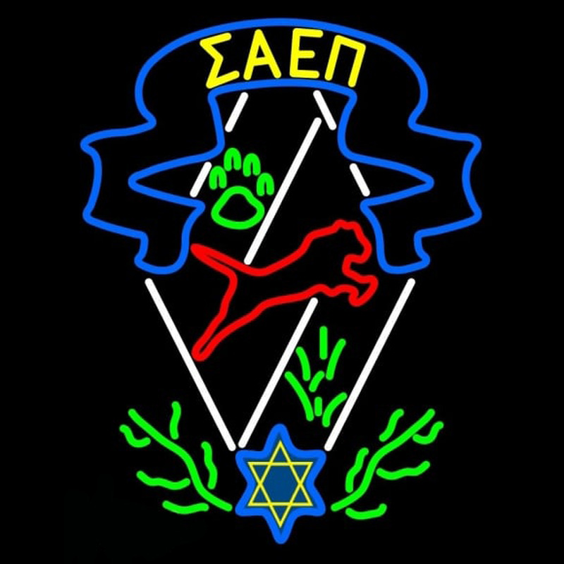 Sigma Alpha Epsilon Pi Logo Neonskylt