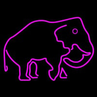 Elephant Neonskylt