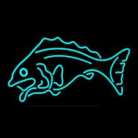 Fish Tuquoise Logo 1 Neonskylt