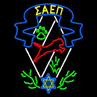 Sigma Alpha Epsilon Pi Logo Neonskylt