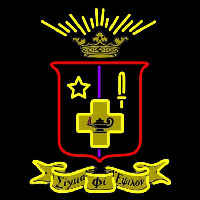 Sigma Phi Epsilon Chapters Logo Neonskylt